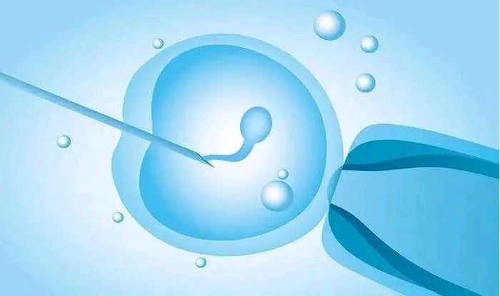 上海代孕试管助孕机构,2023上海供卵试管包生男孩医院汇总，附包生男孩费用及