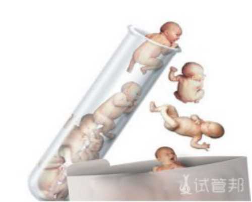 上海单身男代孕事件,哪家公司在上海排名第一？?,上海落户亲子鉴定司法机构