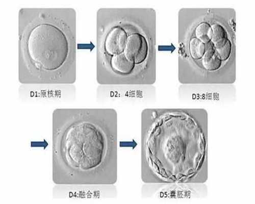 上海第三代试管婴儿1_什么是生殖助孕