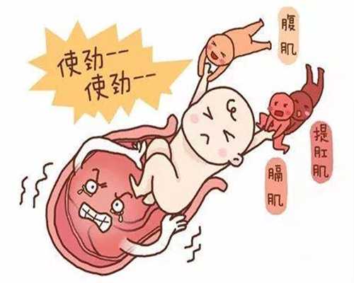 上海代孕女电话_365助孕很靠谱