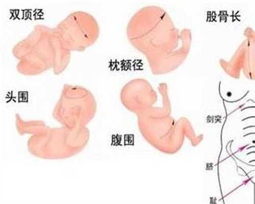 上海代孕哪家好_福孕国际助孕中心