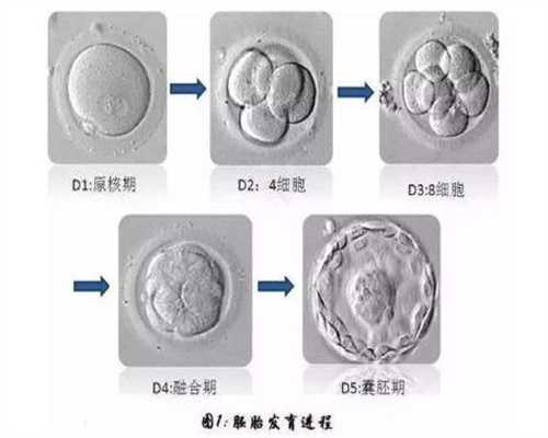 上海有代孕产子_专业助代怀孕包男孩_怀孕8个月