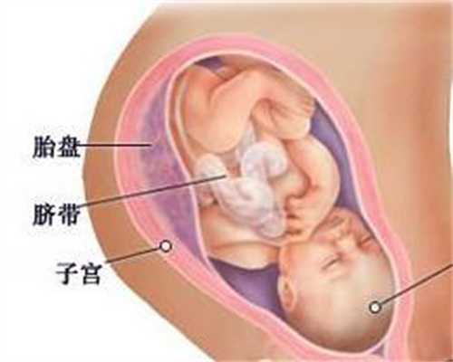 上海代孕一个宝宝需要多少钱_上海代孕医院费用