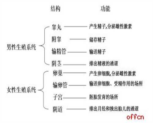 上海代孕咨询电话_代孕机构那里找_剖腹产产妇能