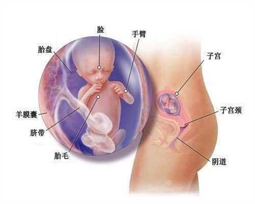 上海代怀孕咨询_代孕成功率是多少_孕妇上厕所是