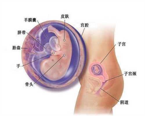 上海世纪供卵机构_海外试管婴儿_怎样会导致胎停