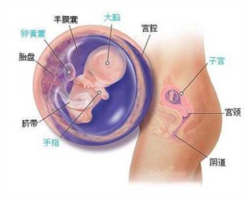 上海代生孩子大概多少钱_怀孕6周拉稀水怎么办
