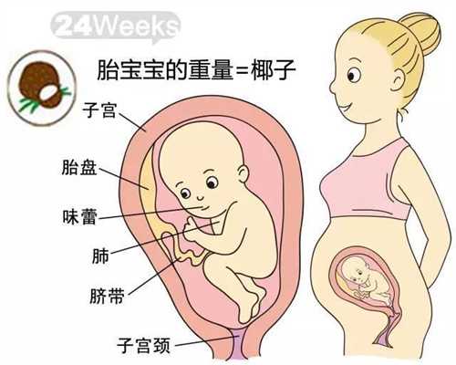 上海正规代孕费用_怀孕6周没有胎心正常吗