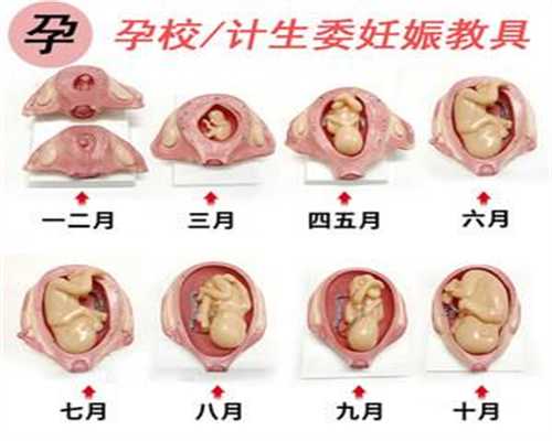 上海代孕能选性别吗_怀孕7个月血糖5.1正常吗