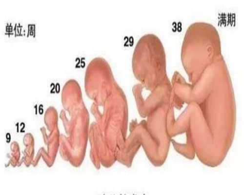上海代孕能选性别吗_怀孕7个月血糖5.1正常吗
