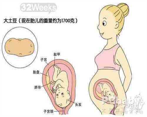 上海助孕公司哪家成功率高_怀孕初期很容易困吗