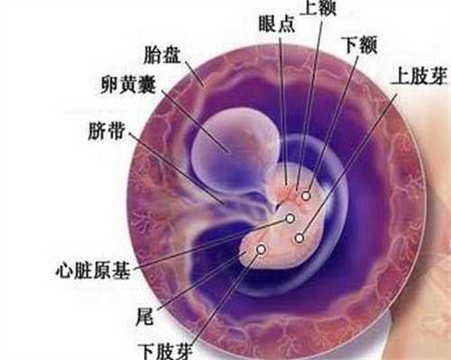 上海合法助孕咨询_上海助孕公司哪家最靠谱_怀孕初期会饿的很快吗