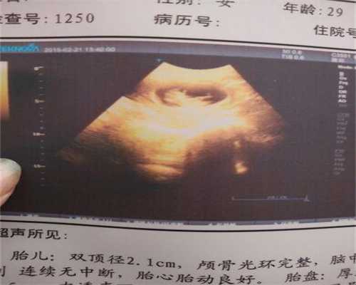 上海合法助孕咨询_上海助孕公司哪家最靠谱_怀孕初期会饿的很快吗
