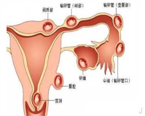 上海代孕多少钱一个月_上海中国合法代孕机构_高血压女性孕前需仔细检查