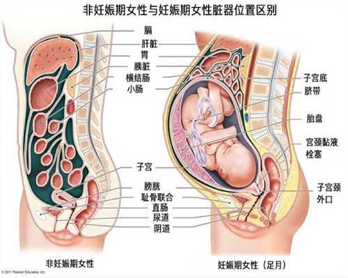 上海代孕孩子中介_上海代孕产子费用问题_月经不准时怀孕了对胎儿有影响吗