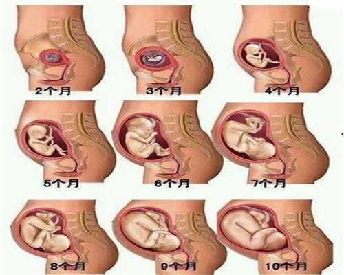 上海试管代生_上海医院可以供卵做试管婴儿吗_得了子宫肌瘤影响生育吗