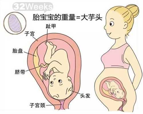供卵需要几代试管_上海公立医院有供卵的吗_高龄备孕怎样提高卵泡质量好？