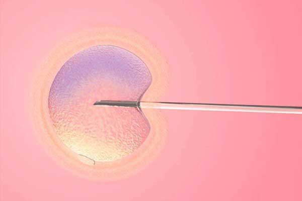 汕头试管胚胎移植前要准备什么？6点试管移植前注意事项