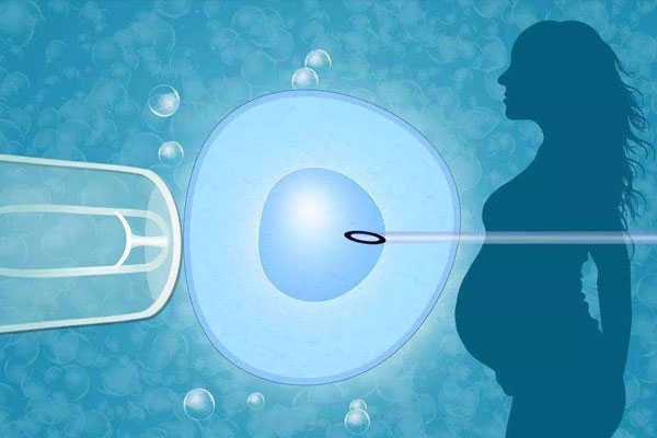 做泰国试管婴儿移植怎样的胚胎成功率更高泰国试管婴儿胚胎移植有哪几种方式